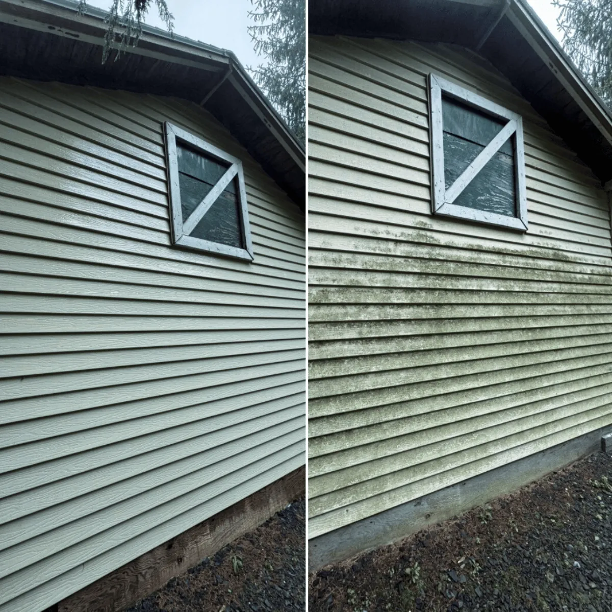 Before and After: House Washing