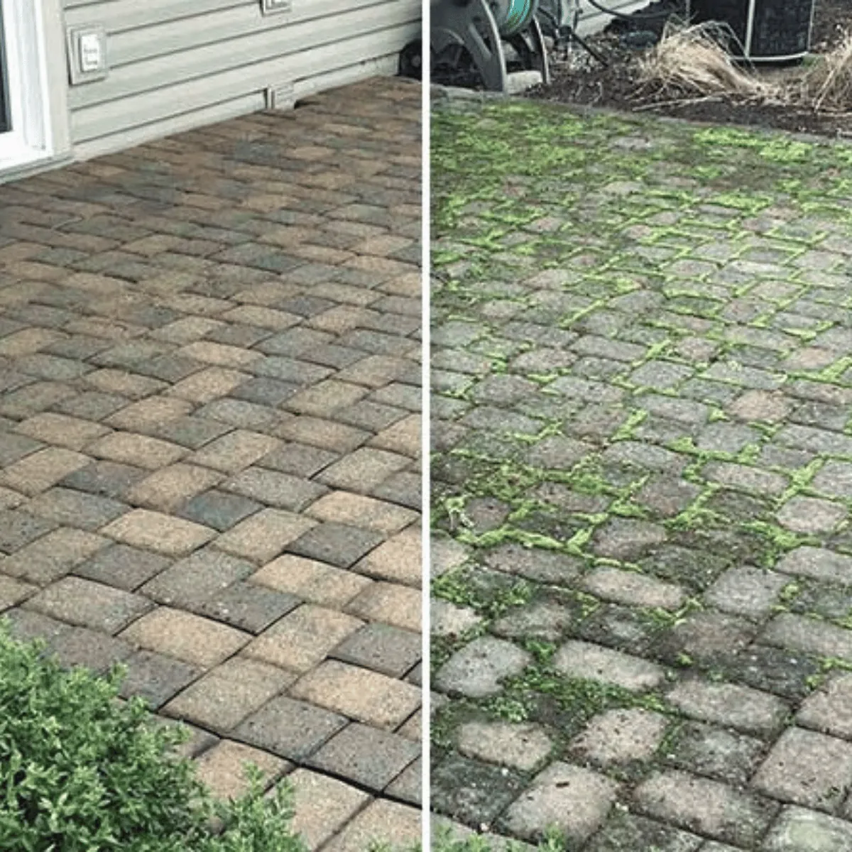 Before and After: Patio Cleaning